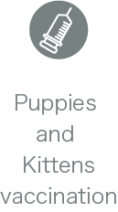 Puppies and Kittens vaccination